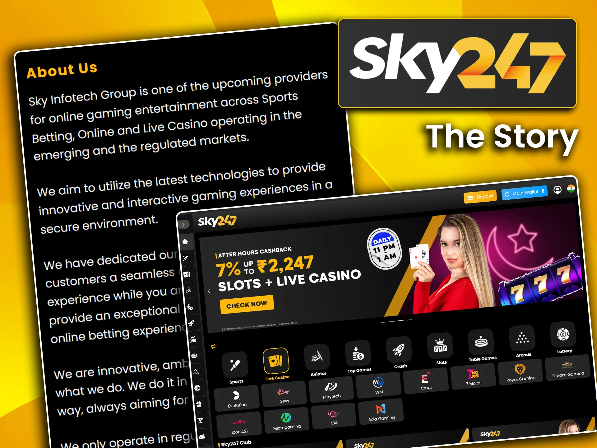 Learn all about the Sky247 platform before you start playing.