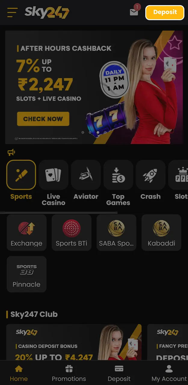 Top up your account quickly on Sky247.