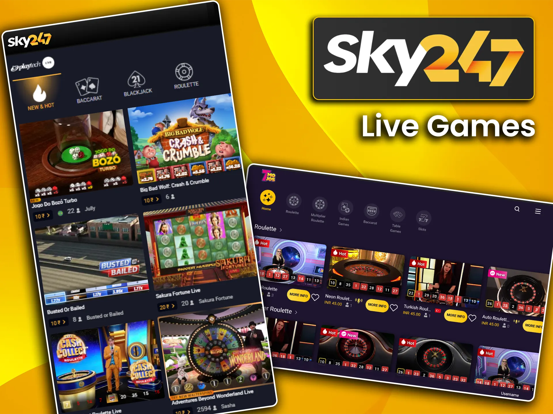 Immerse yourself in the atmosphere of live games on Sky247.