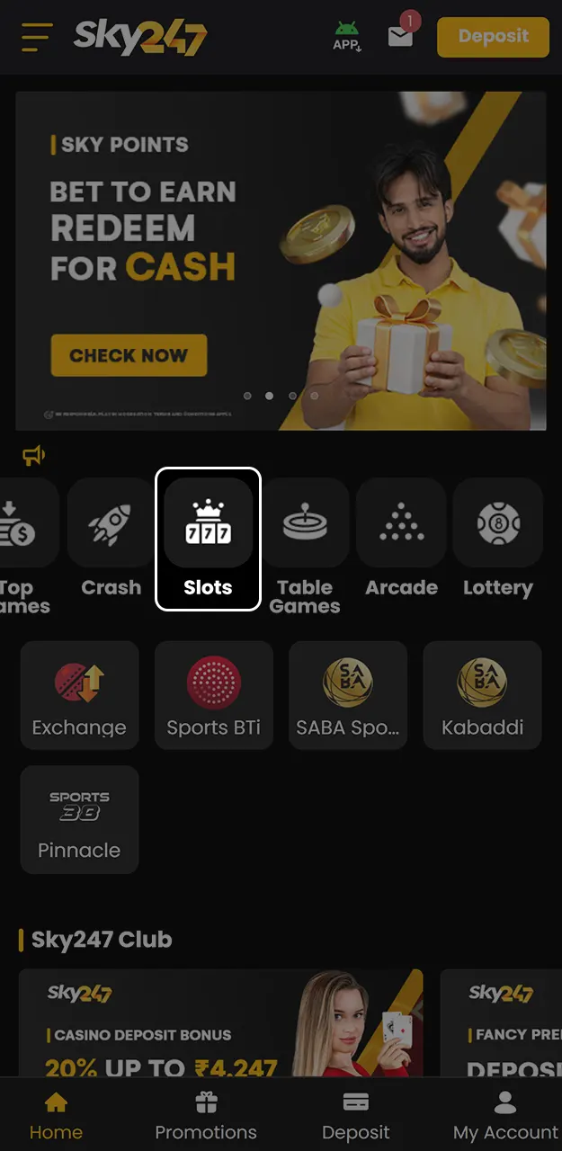 Browse all the slots available on Sky247.